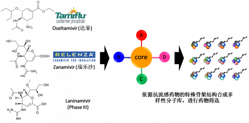 图2：以现有抗流感药物的结构为基础，进行多样性药物分子库的合成。