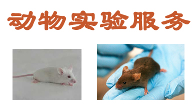 BOBSport动物实验外包服务