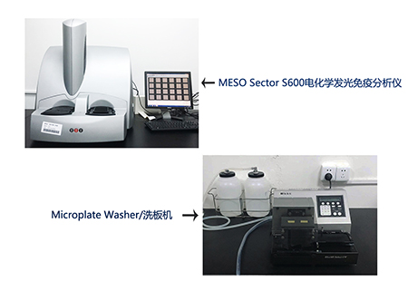 BOBSport电化学发光免疫分析仪和全自动洗板机