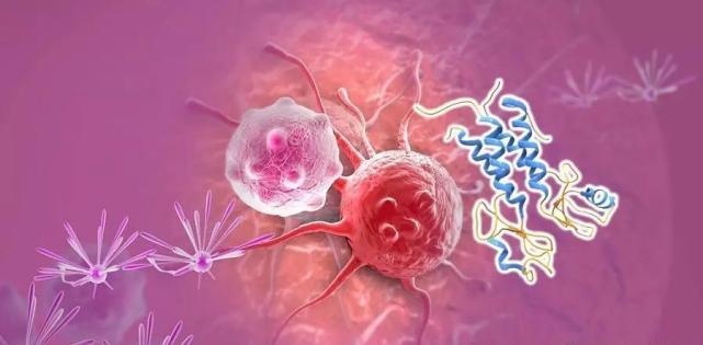 【盘点】高选择性mTOR抑制剂的研究进程_BOBSport生物医药