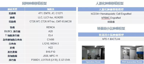 BOBSport药效学动物模型