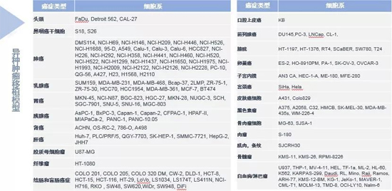 BOBSport药效学动物模型