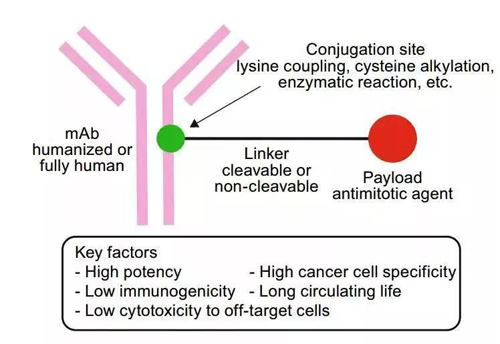 抗体偶联药物结构模式