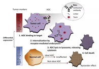 浅析：ADC药物的抗癌之路