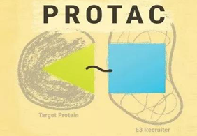 热点前沿:PROTAC初露锋芒，SD-36对抗肿瘤效果卓越