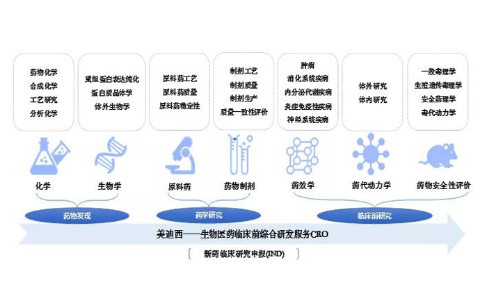 BOBSport业务范围