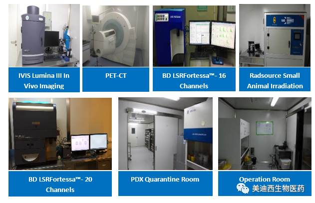 BOBSport药理部拥有IVIS Lumina III, PET-CT, BD LSRFortessa-16, Flow Cytometry等仪器，提供符合申报，支持临床试验的药效评价服务。