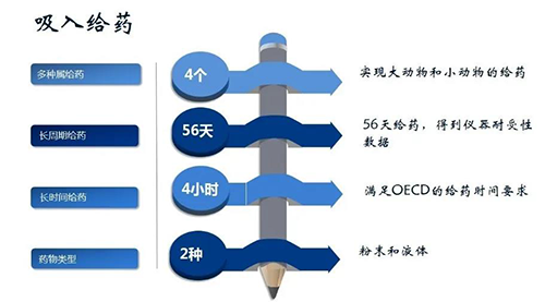 BOBSport吸入给药安全性评价服务