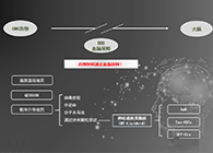 人工合成NT类脂质开放血脑屏障，为CNS药物打开新局面