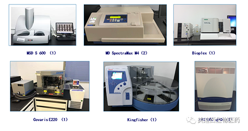 BOBSport生物技术药物分析部服务仪器