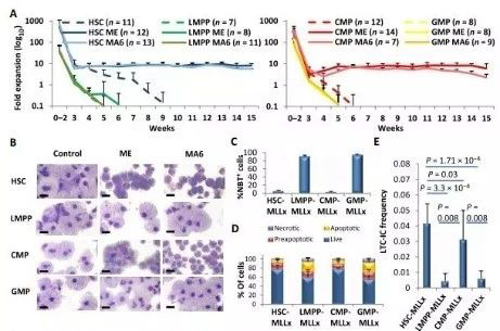 Science子刊：一种FDA批准的抗腹泻药物可有效对抗化疗的耐药性 BOBSport生物医药