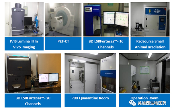 BOBSport药理部拥有IVIS Lumina III, PET-CT, BD LSRFortessa-16，Flow Cytometry等仪器