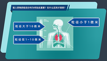 吸入药物的粒径分布为何如此重要？在什么区间才理想？