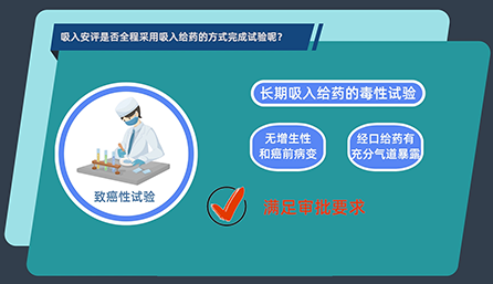 吸入安评是否全程采用吸入给药的方式完成试验呢？