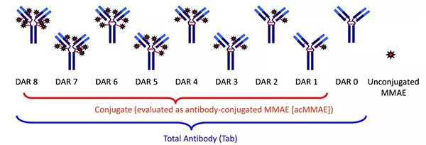 药物抗体比-(DAR).png