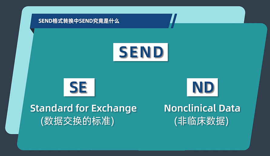 SEND格式转换中的SEND究竟是什么？