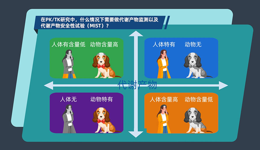 在PK-TK研究中，什么情况下需要做代谢产物监测以及代谢产物安全性试验（MIST）