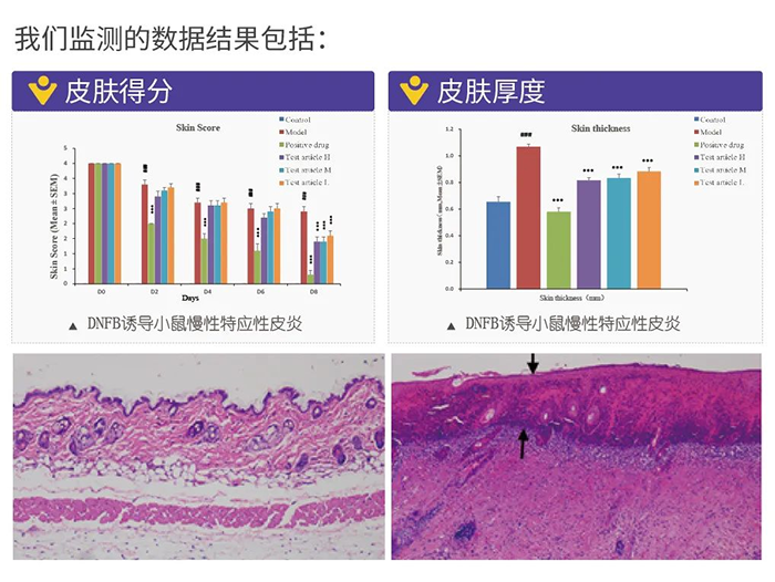 BOBSport监测的数据结果.png