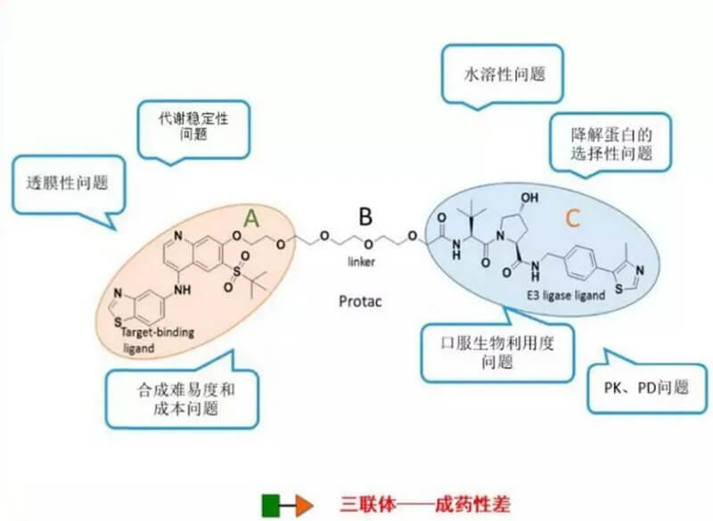 PROTAC分子量较大，溶解性较差.jpg