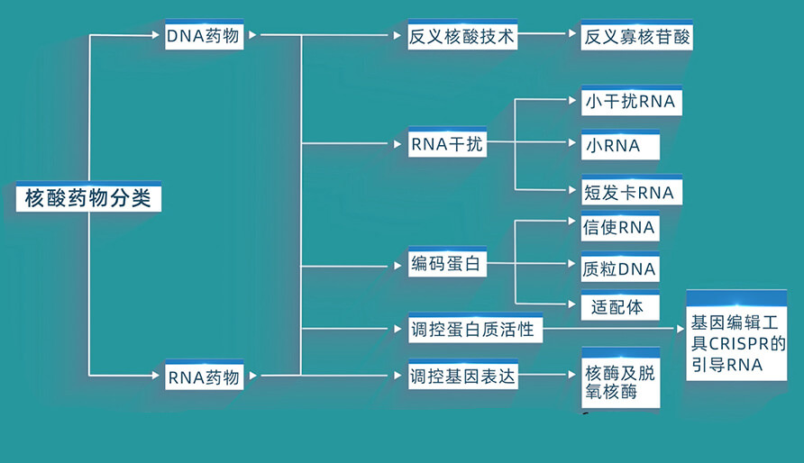 核酸药物的分类有哪些？