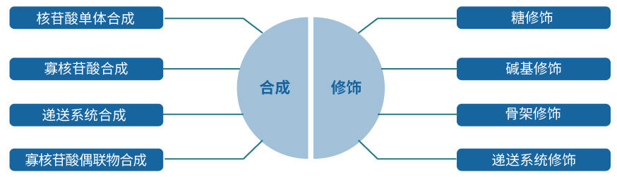 BOBSport核酸药物研发服务平台.jpg