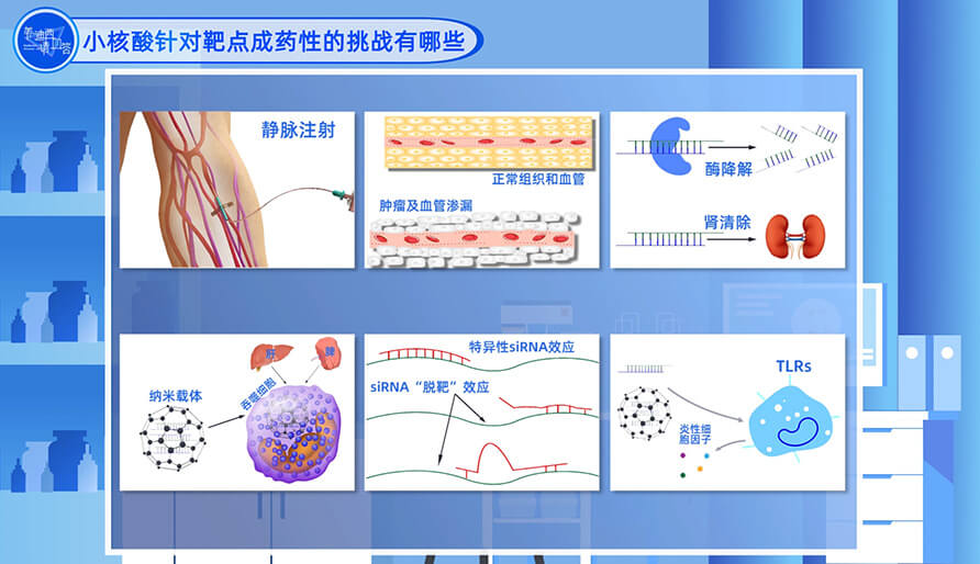 小核酸针对靶点成药性的挑战有哪些？