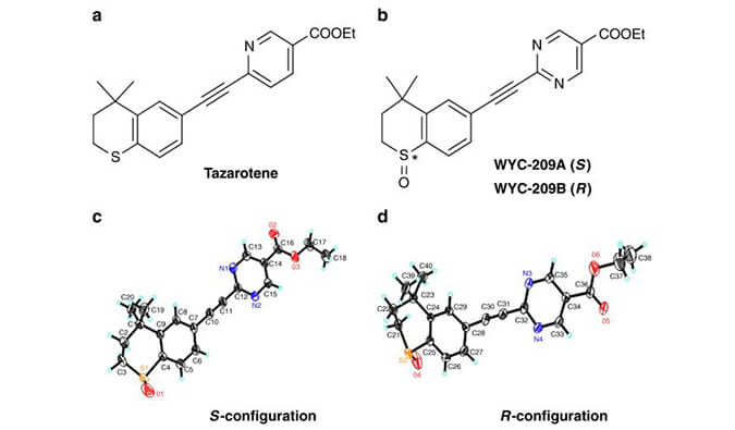 WYC-209可抑制恶性小鼠黑色素瘤肿瘤再生细胞增殖，SPR分析通过BOBSport使用Biacore 8K设备进行