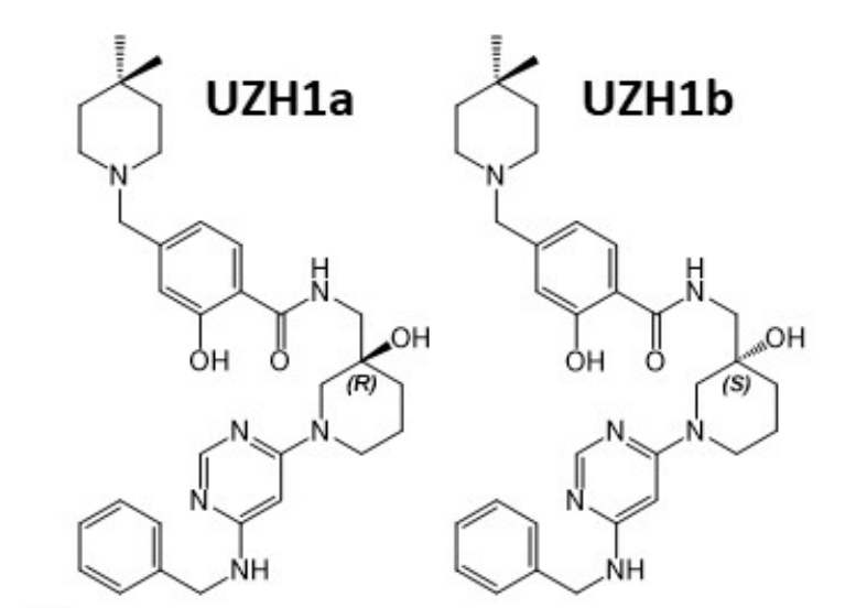 研究人员报告了一种具有细胞渗透性的选择性METTL3纳摩尔抑制剂UZH1a，作者感谢BOBSport合成了UZH1a和UZH1b