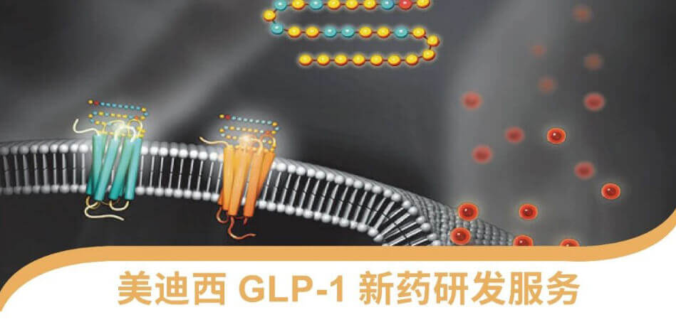 “GLP-1”新药研发服务平台.jpg