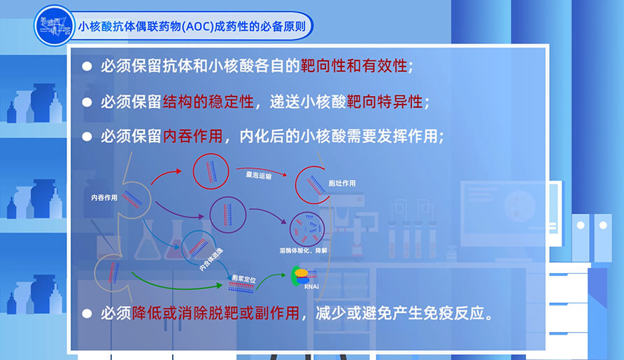 小核酸抗体偶联药物（AOC）成药性的必备原则？