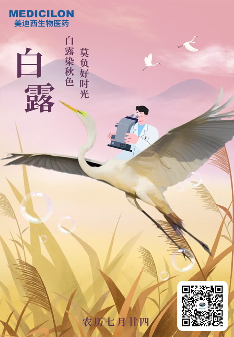 白露染秋色，莫负好时光.jpg