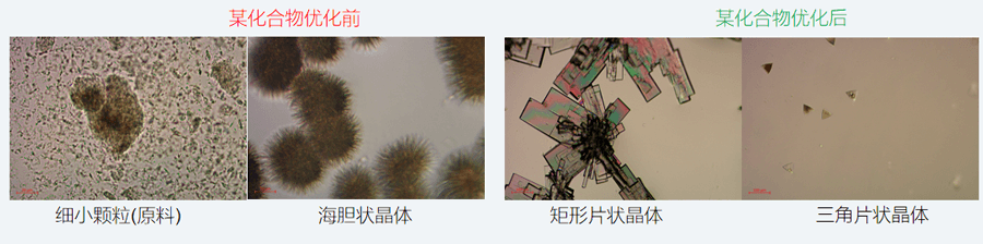 05案例分享-单晶培养，改变晶习.png