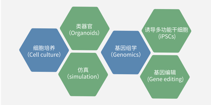 六大技术板块已上线，持续升级中.jpg