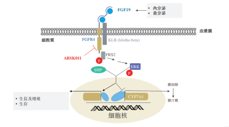 图源：公开资料.jpg