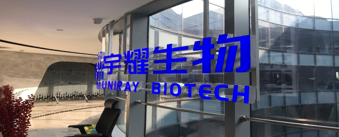 BOBSport助力 | 宇耀生物STAT3双磷酸化位点抑制剂YY201成功完成中美双报