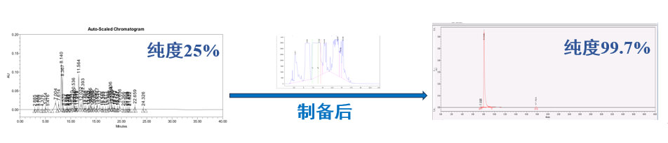 案例一：仿制药发补：大极性杂质制备.jpg