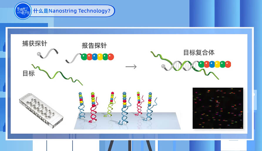 什么是Nanostring 技术？