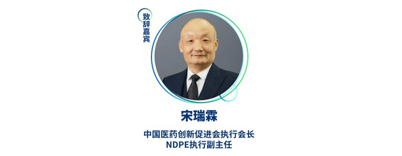 宋瑞霖--中国医药创新促进会执行会长、NDPE执行副主任.jpg