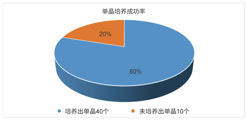 BOBSport药物固态开发技术平台.jpg