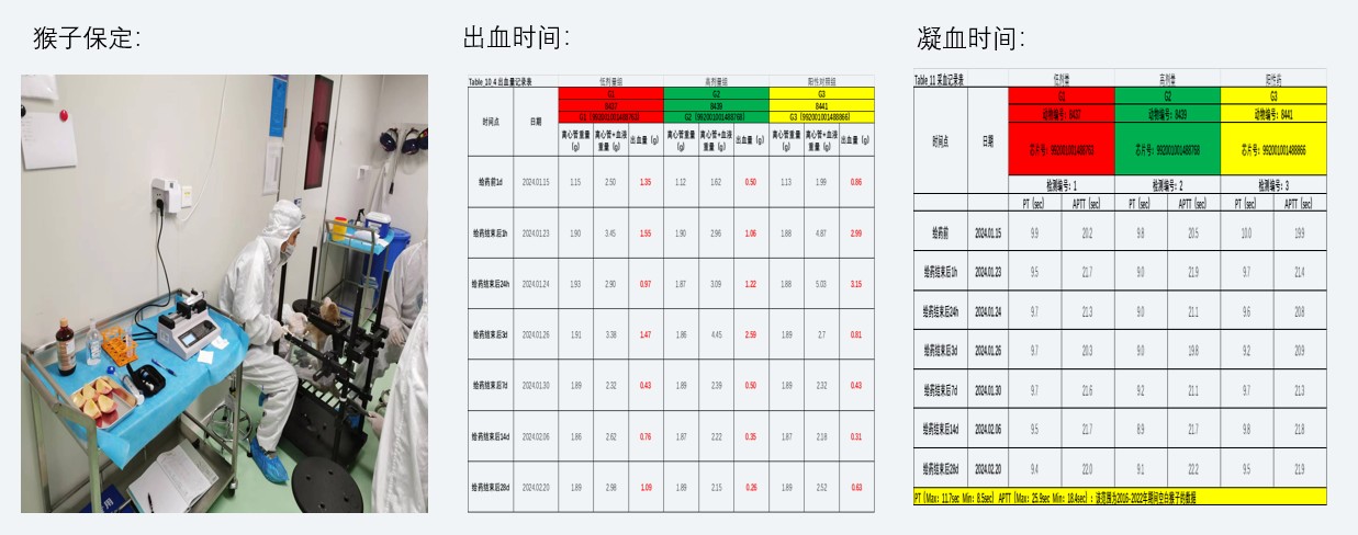 案例2：小分子抗凝药对食蟹猴出凝血功能影响.jpg