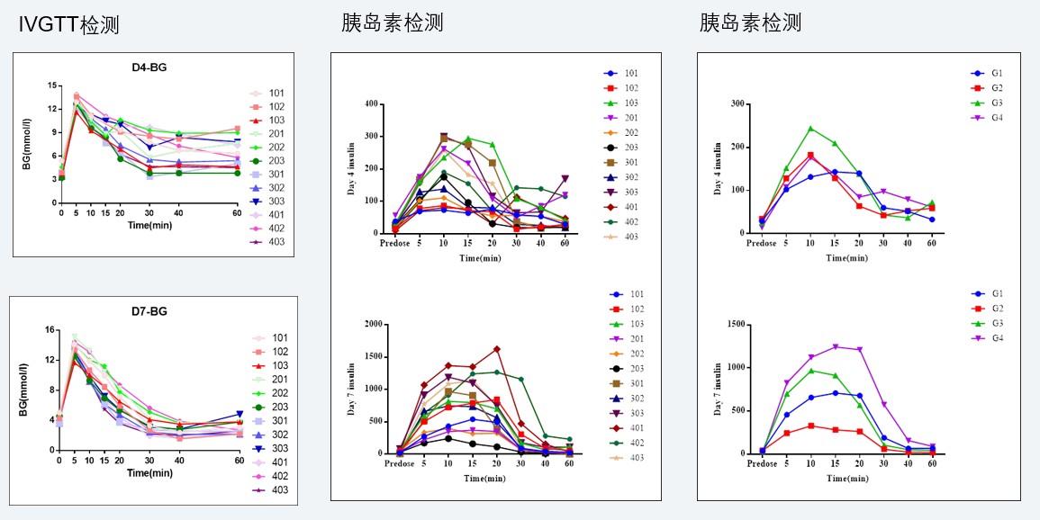 案例4：食蟹猴IVGTT和胰岛素检测实验.jpg