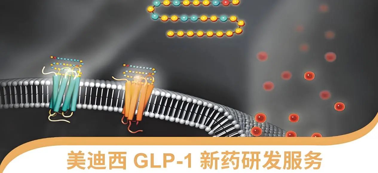 70.5%的成人正在悄悄长胖！国家卫健委“减肥令”下，GLP-1药物如何突围？